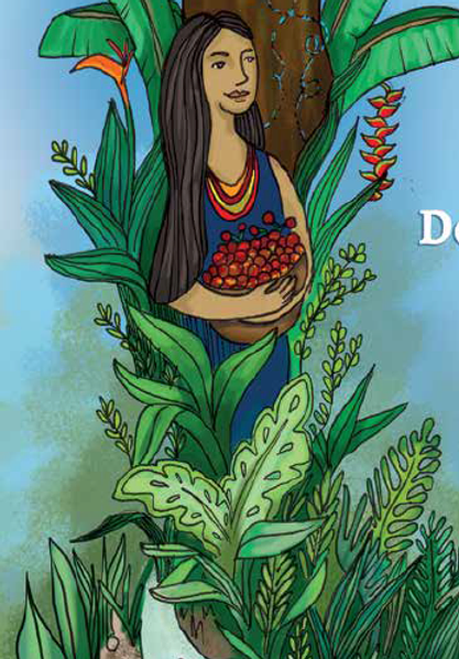 Manual para facilitadoras Bosques, Derechos de las Mujeres y CC CEPLAES-RFN (2015) Manual para facilitadoras Bosques, Derechos de las Mujeres y CC CEPLAES-RFN (2015)